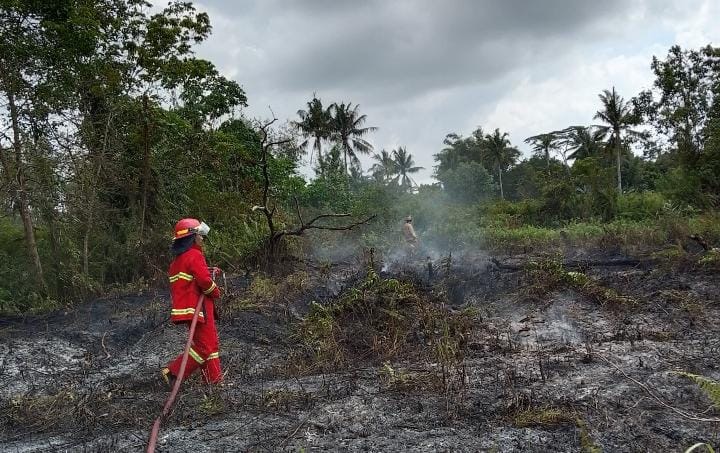 Satu Percikan di Musim Kemarau, Tiga Kapling Ludes Terbakar