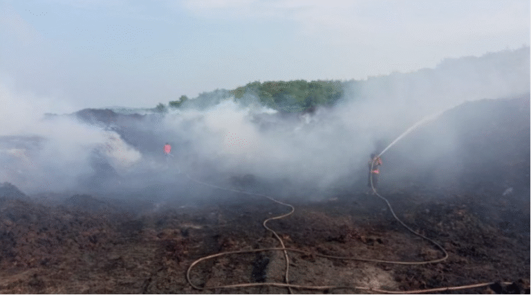 DLHK Kukar Perketat Pengawasan, Cegah Karhutla di Lahan Gambut